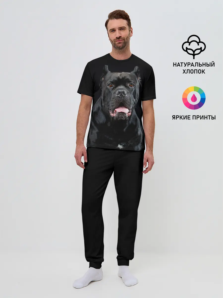 Мужская пижама с брюками / Черный кан - корсо