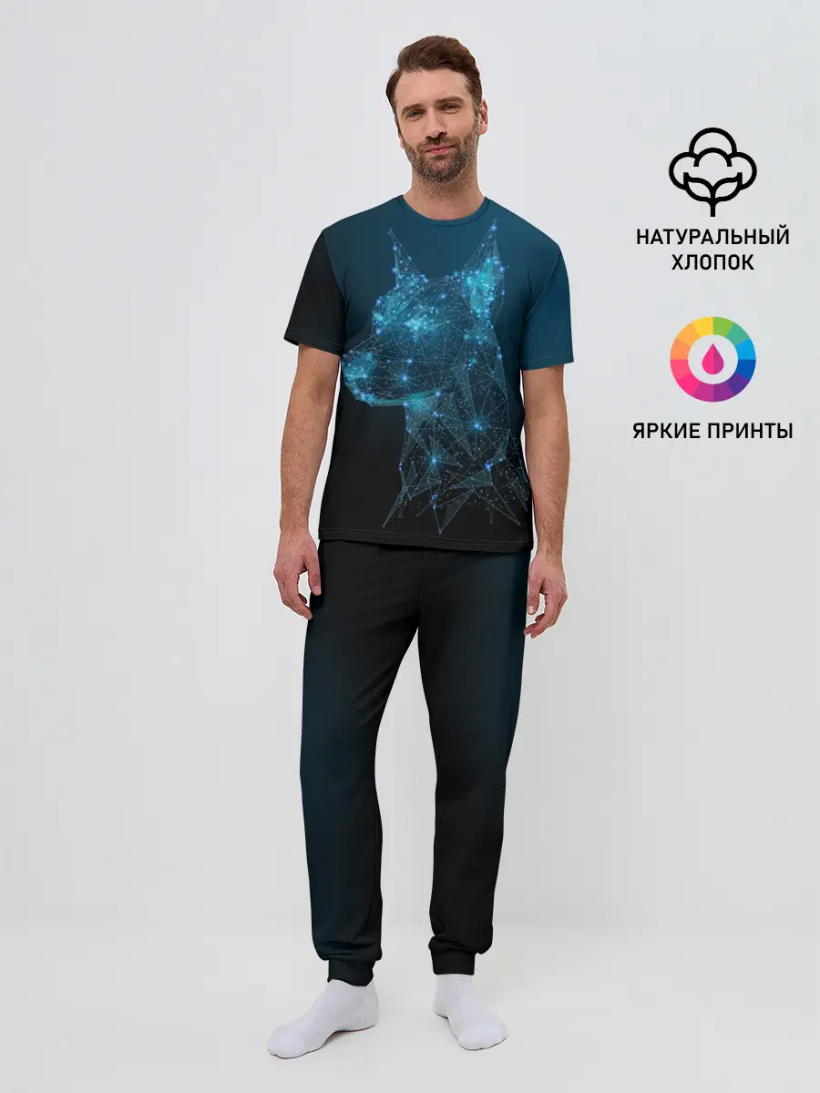 Мужская пижама с брюками / Доберман