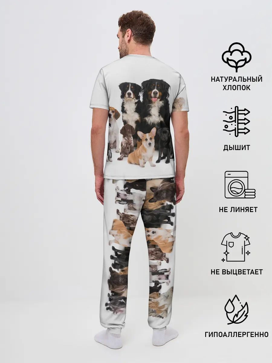 Мужская пижама с брюками / Породистые собаки