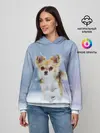 Женское худи / Чихуахуа в снегу