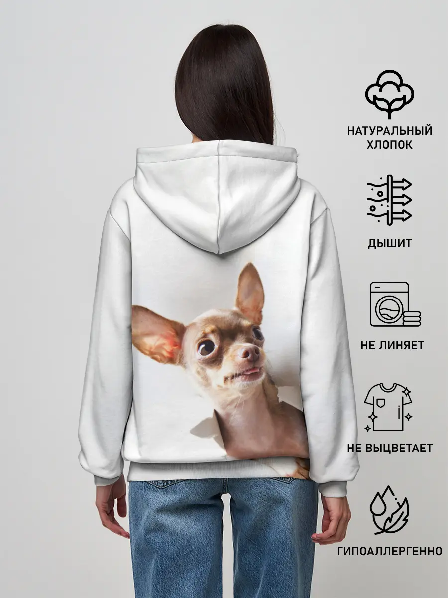 Женское худи / Чихуахуа из бумаги вылазит