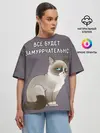 Женская футболка оверсайз / Грустный кот