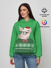 Женское худи / New Year Hipster Pig