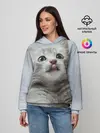 Женское худи / Котенок