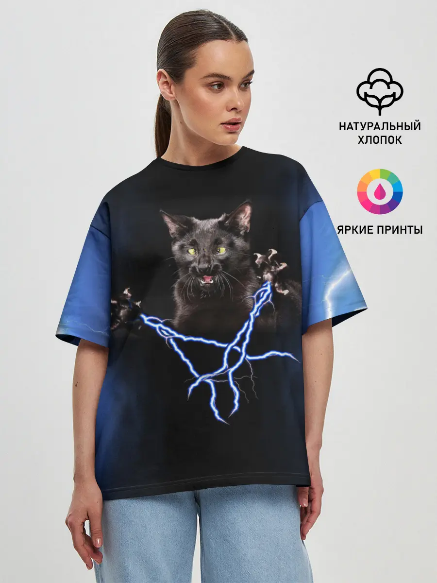 Женская футболка оверсайз / Грозовой кошак
