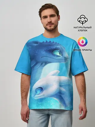 Мужская футболка оверсайз / как приручить дракона