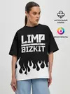 Женская футболка оверсайз / Limp Bizkit