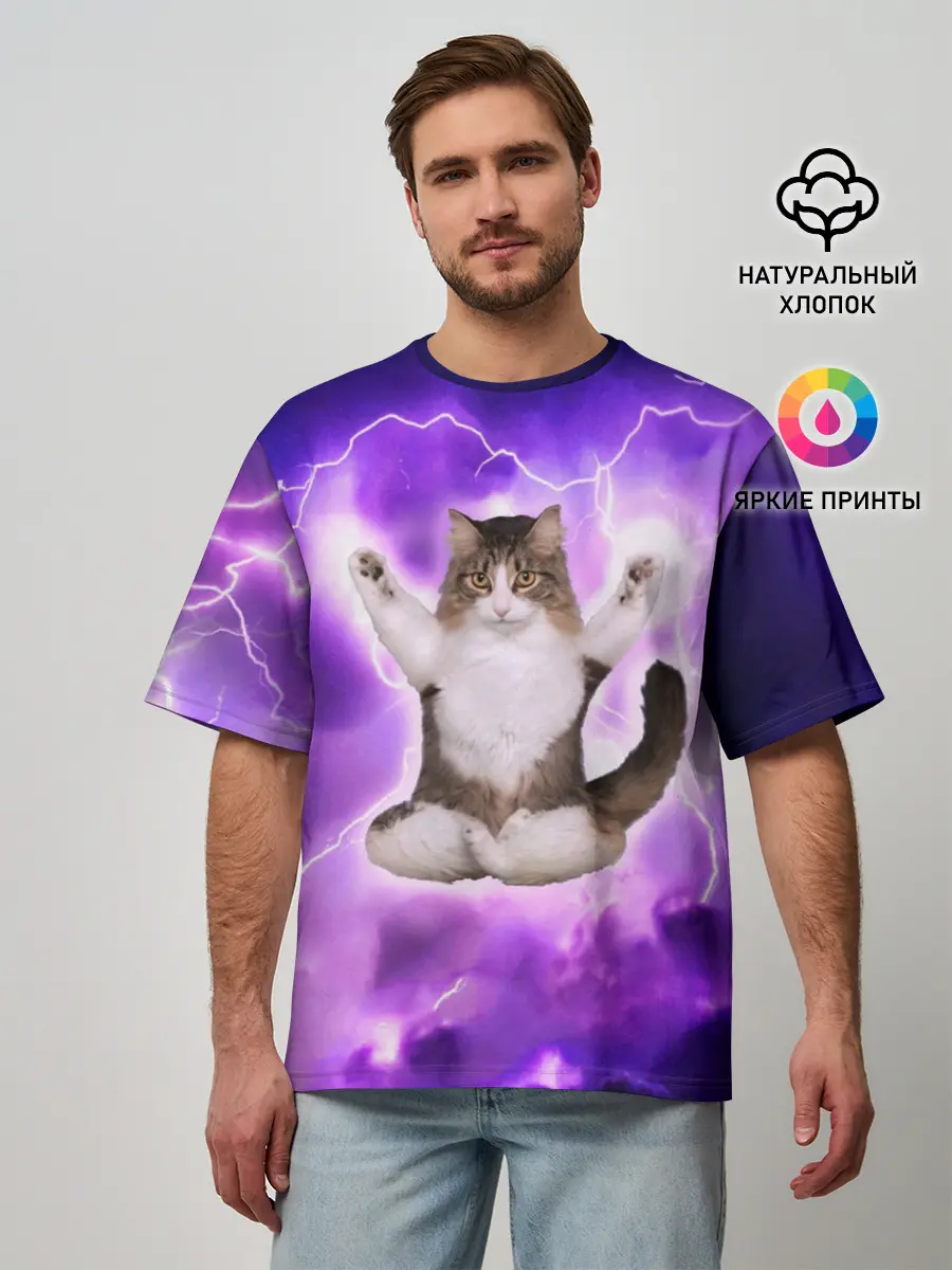 Мужская футболка оверсайз / Повелитель Молний | Котэ