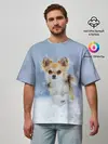 Мужская футболка оверсайз / Чихуахуа в снегу