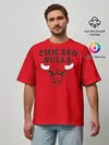 Мужская футболка оверсайз / Chicago Bulls