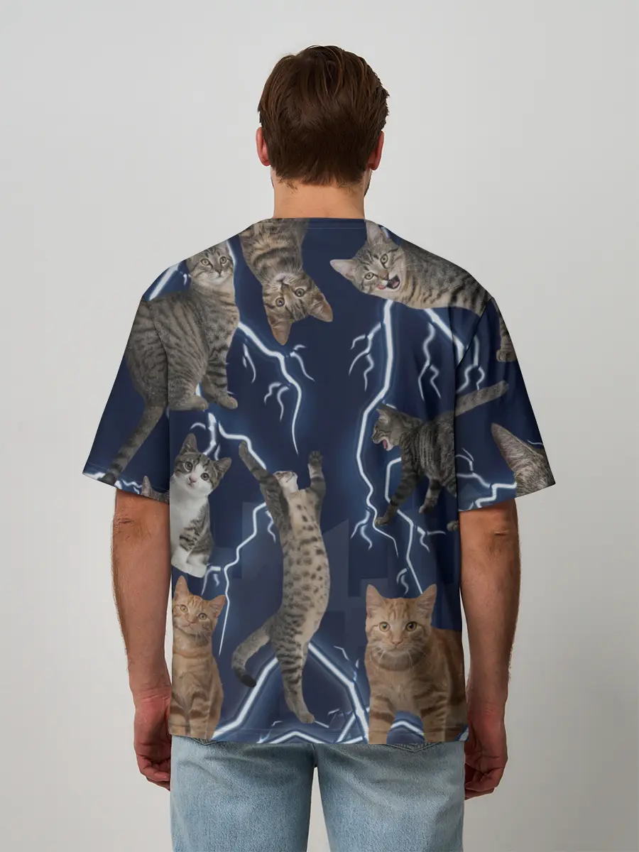 Мужская футболка оверсайз / Коты