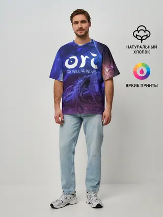 Мужская футболка оверсайз / Ori and the Will of the Wisps
