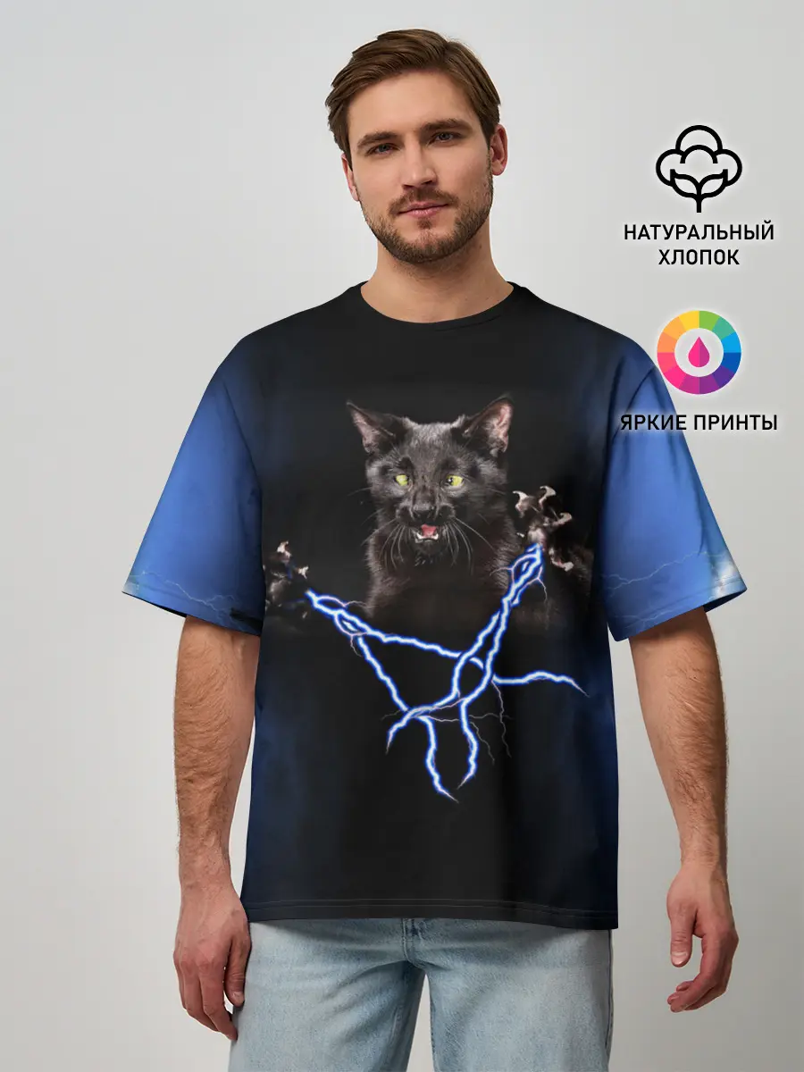 Мужская футболка оверсайз / Грозовой кошак