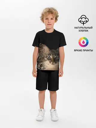 Детская пижама с шортами / Disintegrating Cat