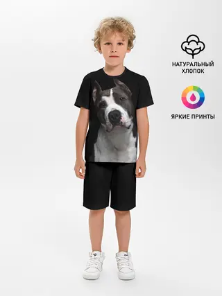 Детская пижама с шортами / Американский питбуль