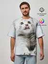 Мужская футболка оверсайз / серый котенок