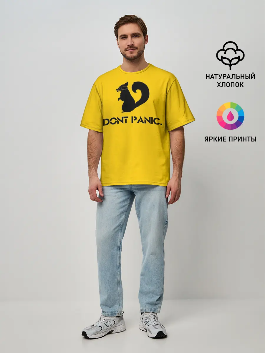 Мужская футболка оверсайз / Dont Panic.