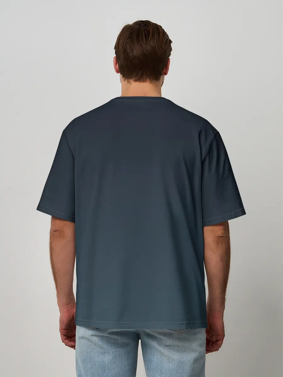 Мужская футболка оверсайз / Маленький принц с лисой