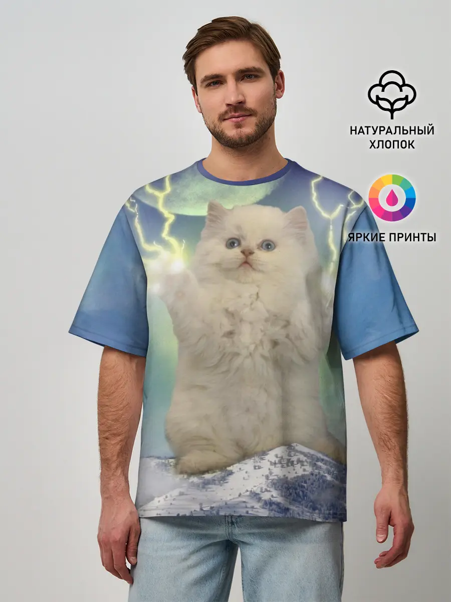 Мужская футболка оверсайз / Грозовой Котик