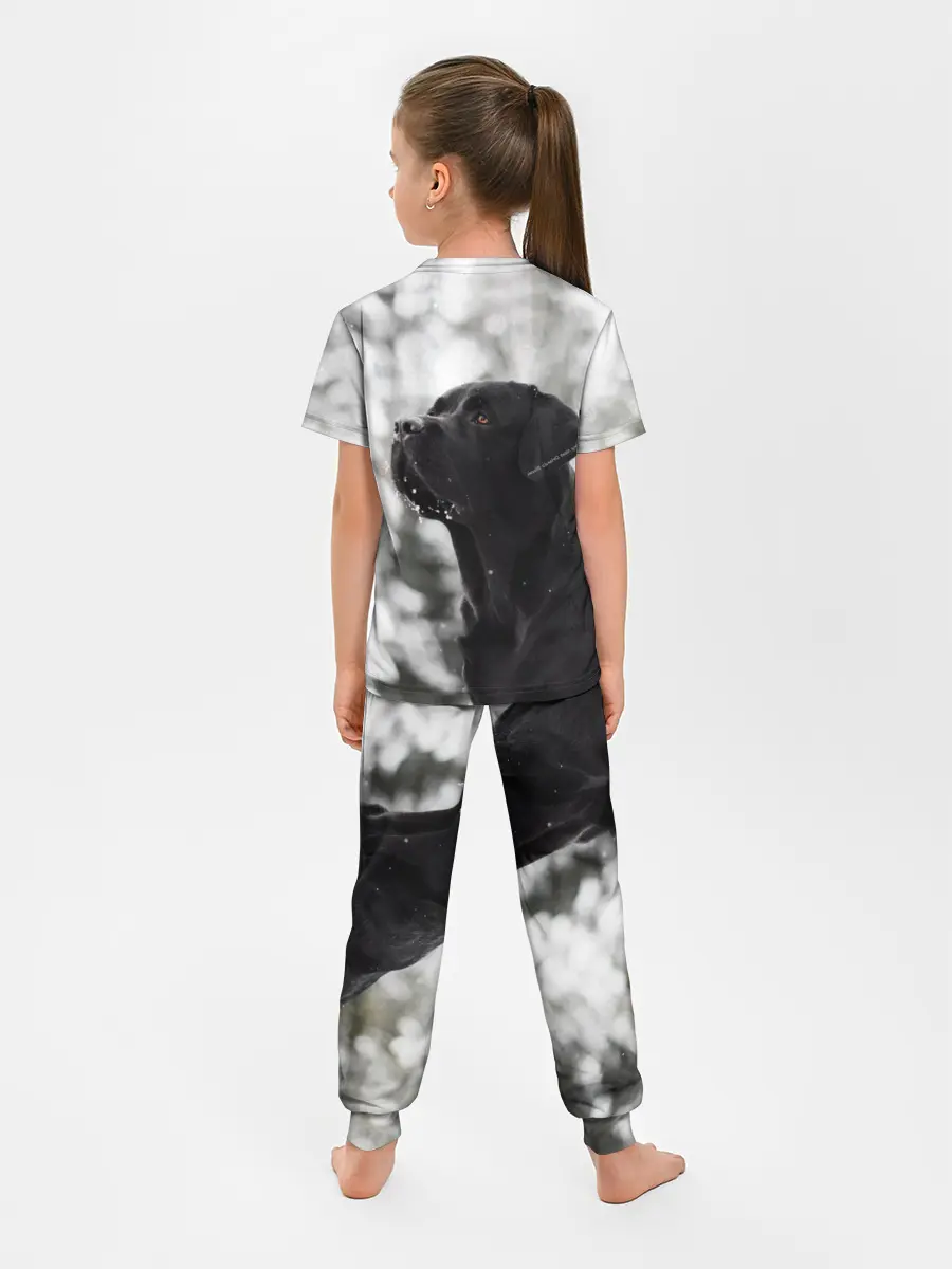 Детская пижама с брюками / Лабрадор Марк