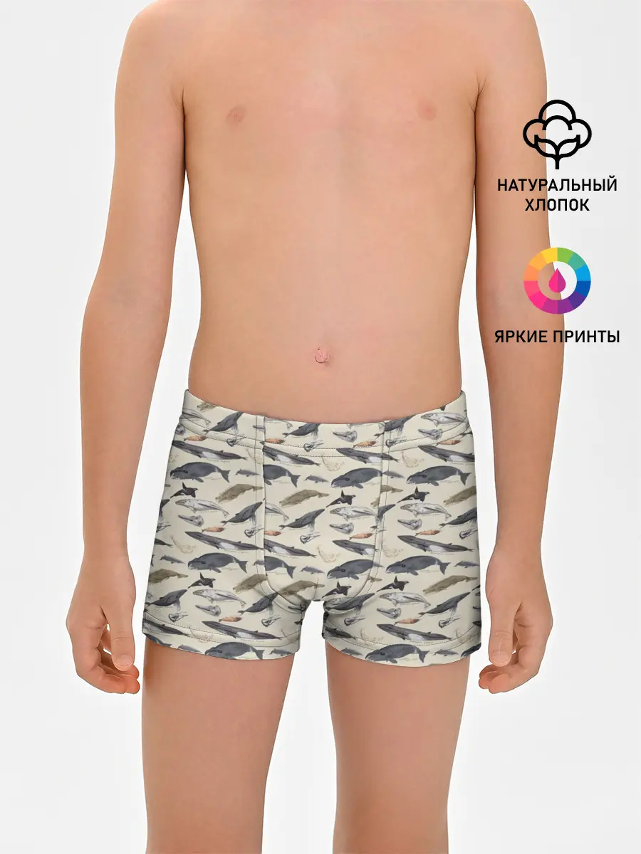 Трусы для мальчиков / Whales pattern