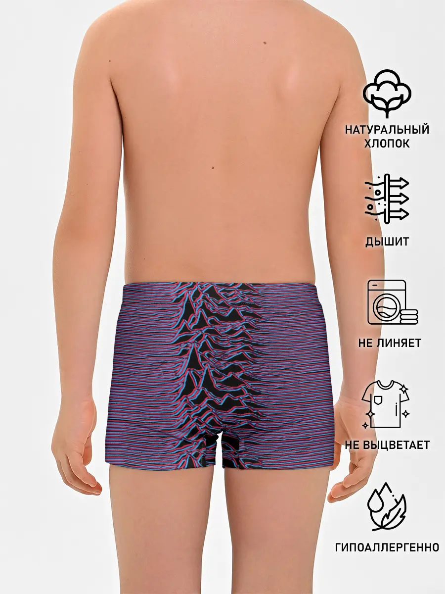 Трусы для мальчиков / Joy Division Glitch