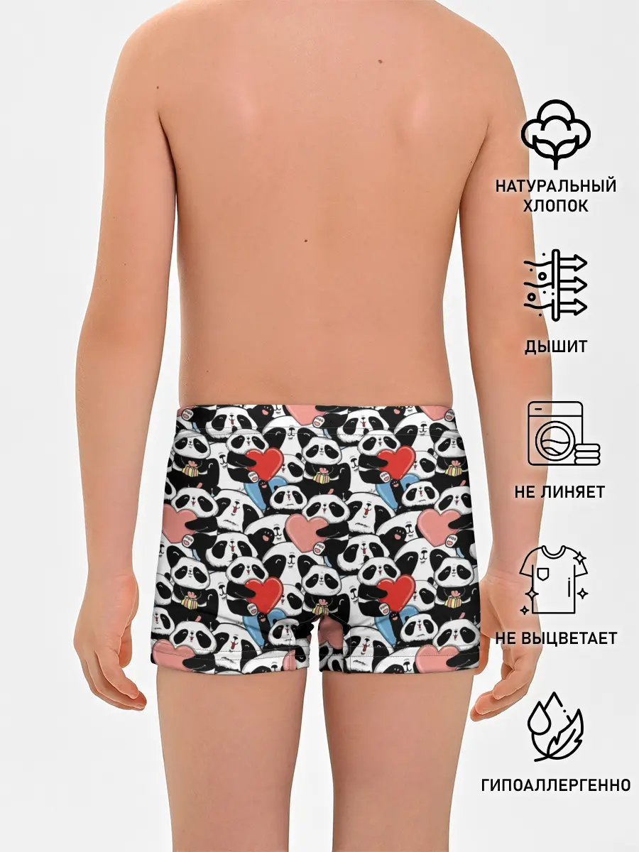Трусы для мальчиков / Funny Panda