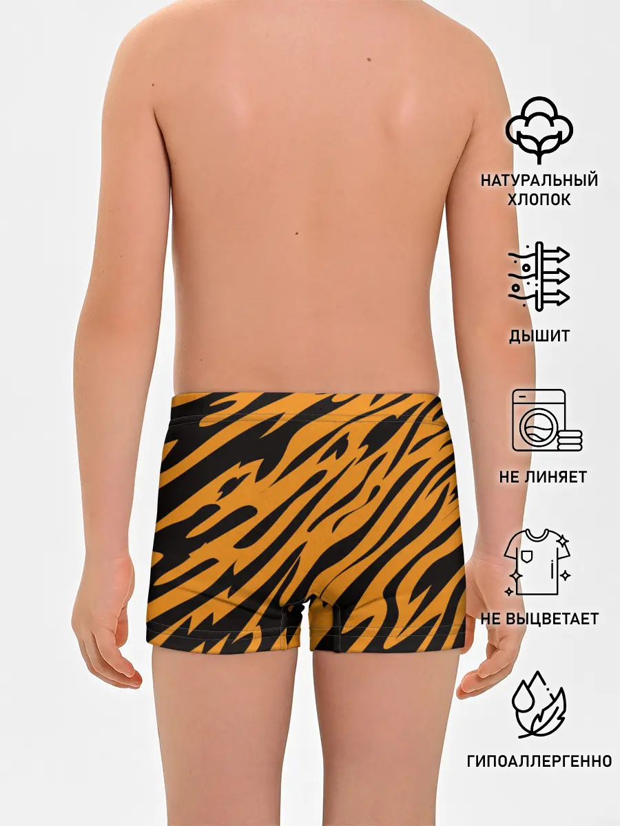 Трусы для мальчиков / Тигр