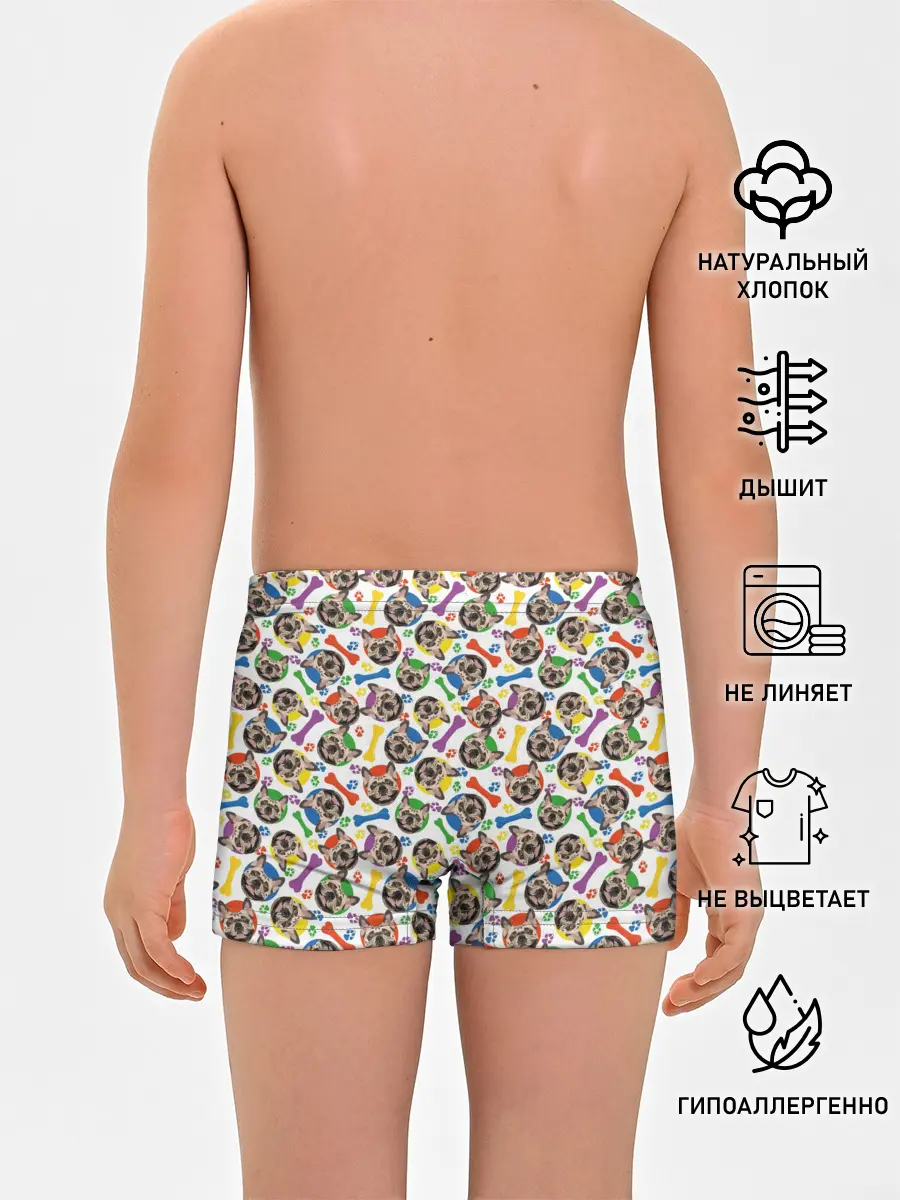 Трусы для мальчиков / Французский Бульдог