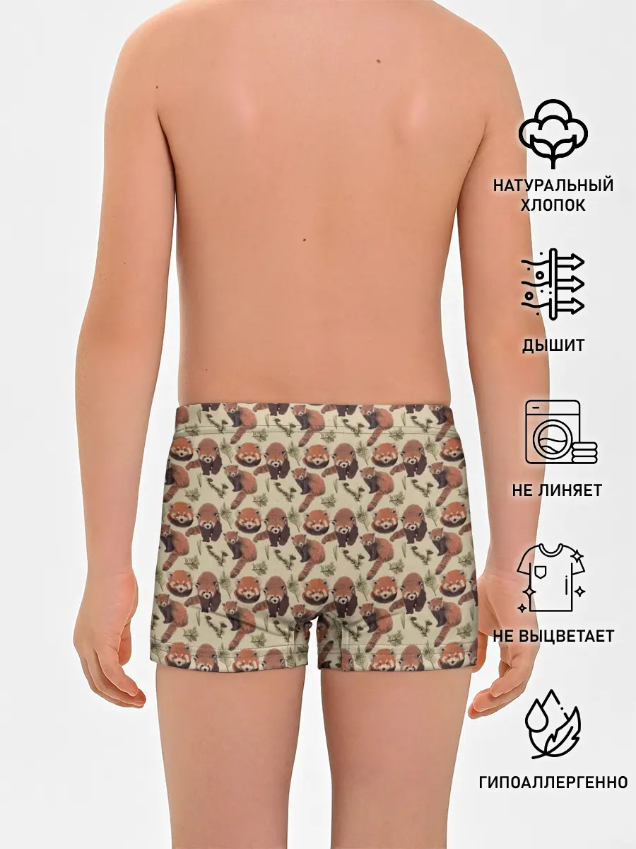 Трусы для мальчиков / Red panda