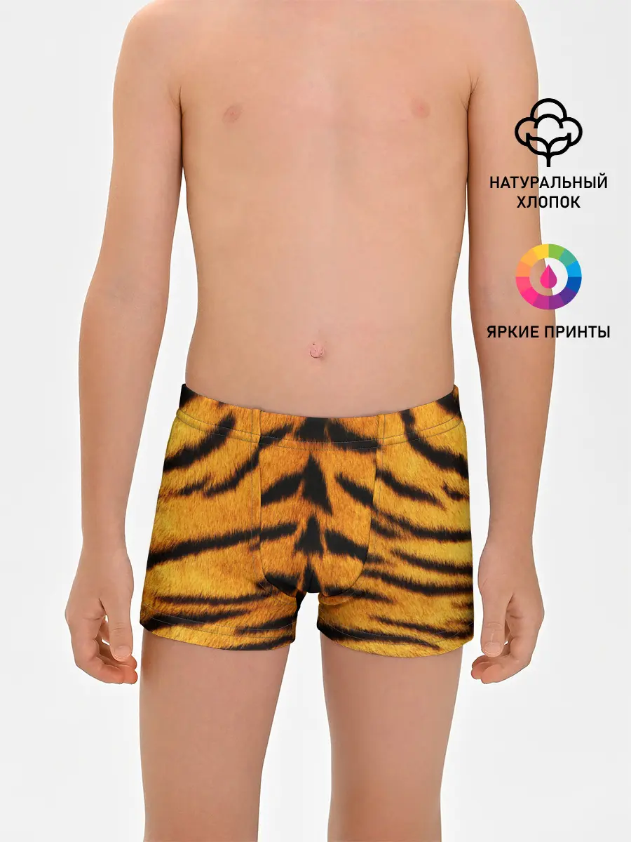 Трусы для мальчиков / Шкура Тигра