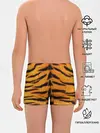 Трусы для мальчиков / Шкура Тигра