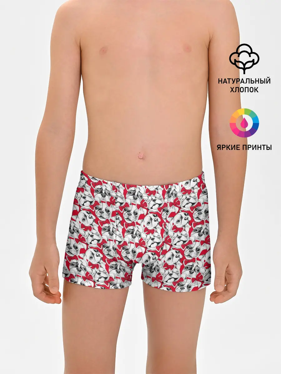 Трусы для мальчиков / Французский Бульдог