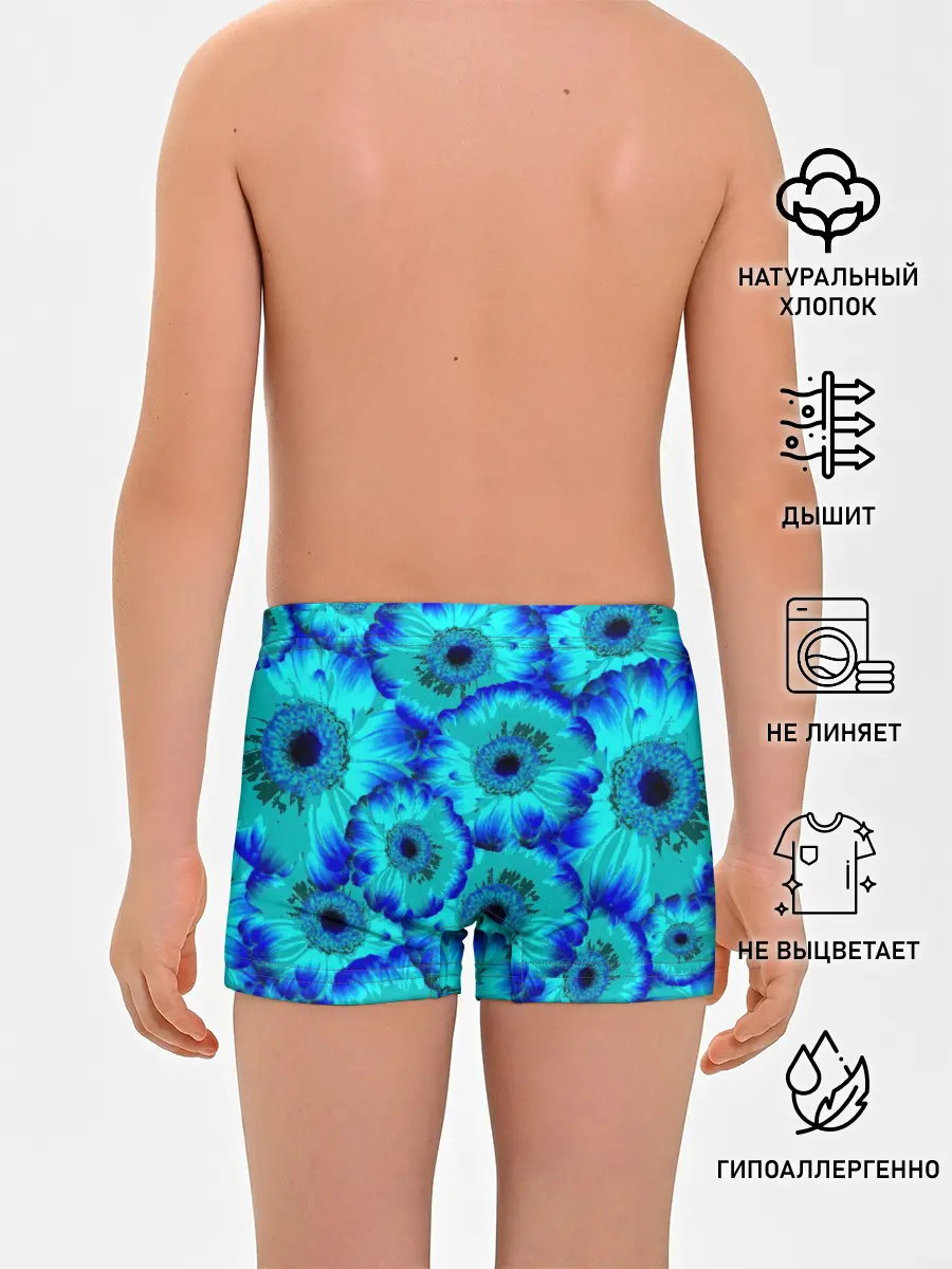 Трусы для мальчиков / Голубые хризантемы