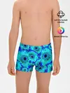 Трусы для мальчиков / Голубые хризантемы