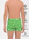 Трусы для мальчиков / Ромашки на зелёном фоне