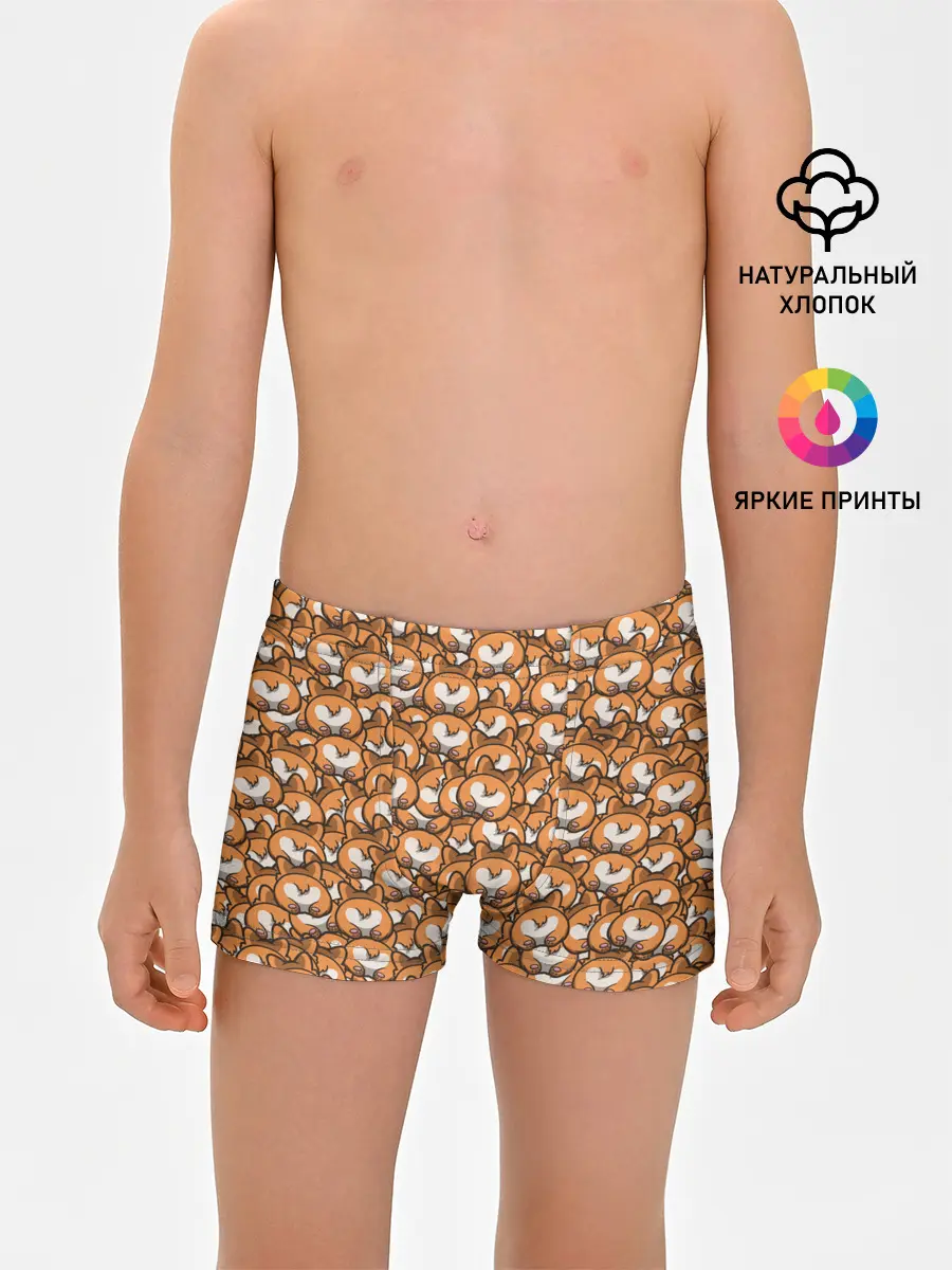 Трусы для мальчиков / Попки Корги