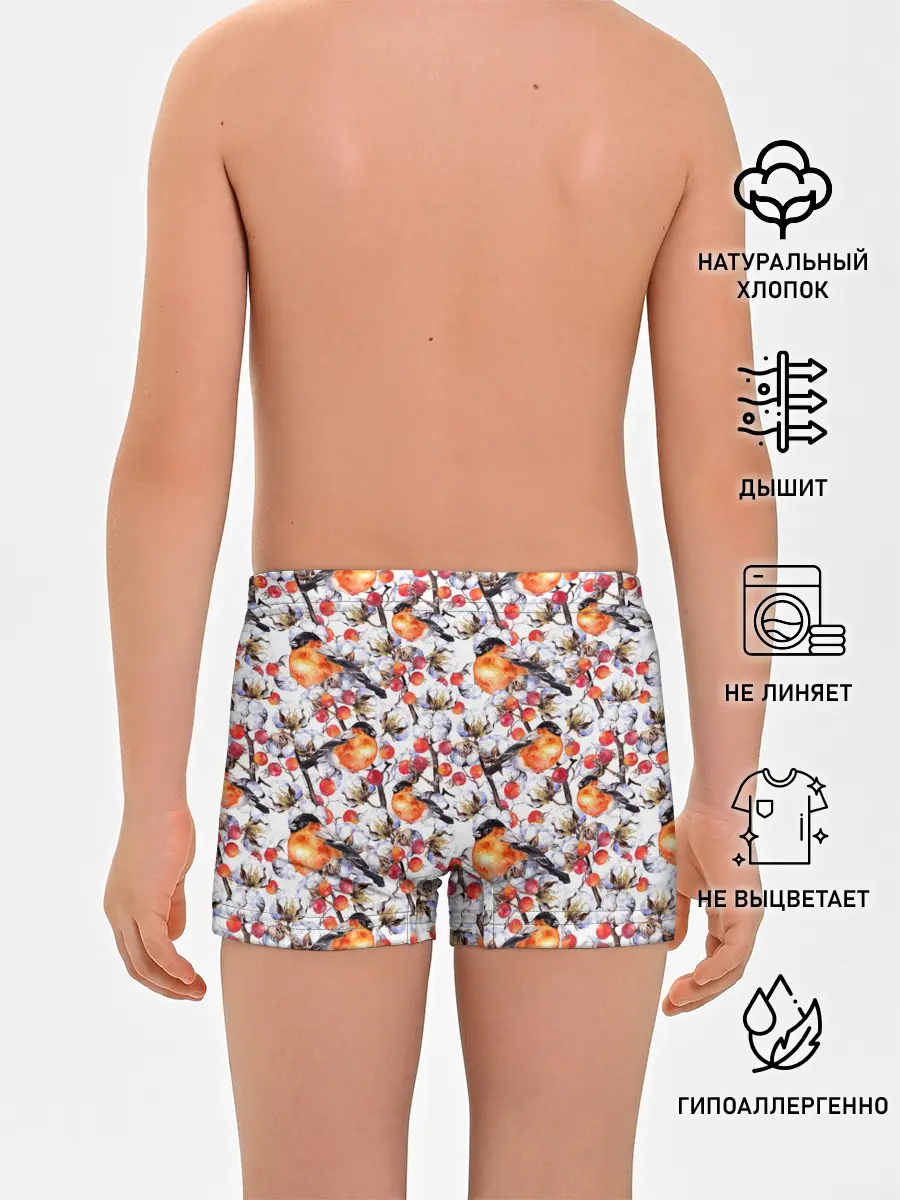 Трусы для мальчиков / Снегири