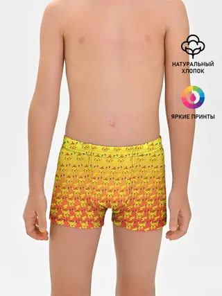 Трусы для мальчиков / Pikachu Pika Pika