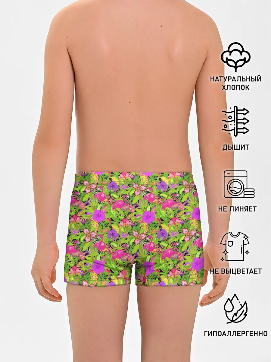 Трусы для мальчиков / Flamingo | Tropical