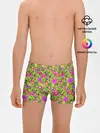 Трусы для мальчиков / Flamingo | Tropical