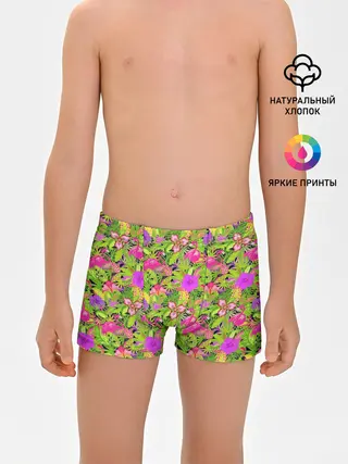 Трусы для мальчиков / Flamingo | Tropical