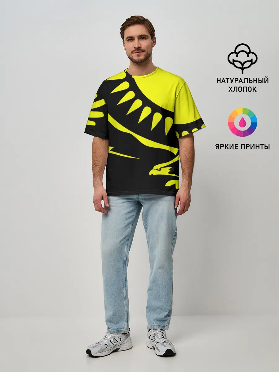 Мужская футболка оверсайз / Kazakhstan