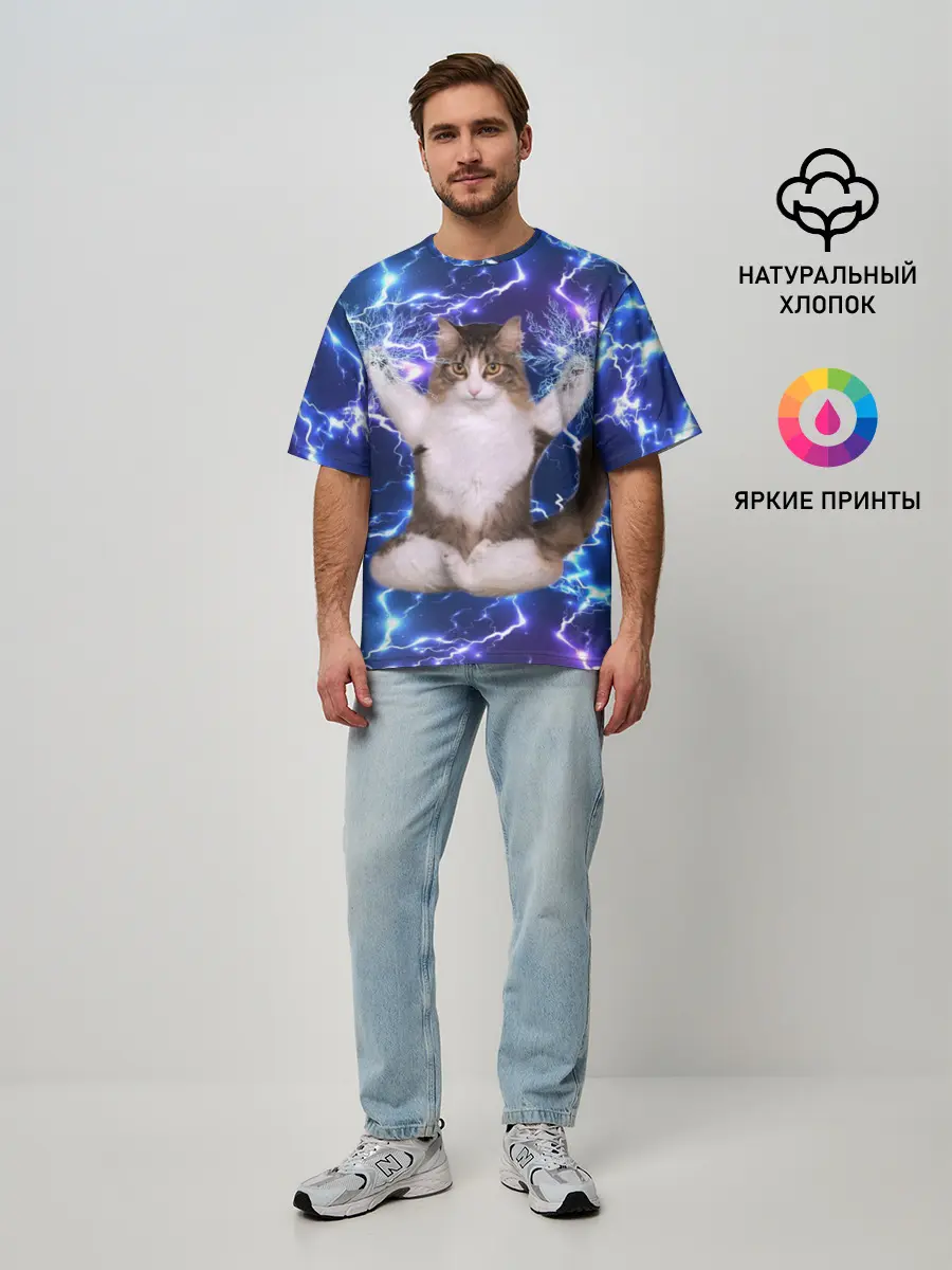 Мужская футболка оверсайз / Грозовой Котик