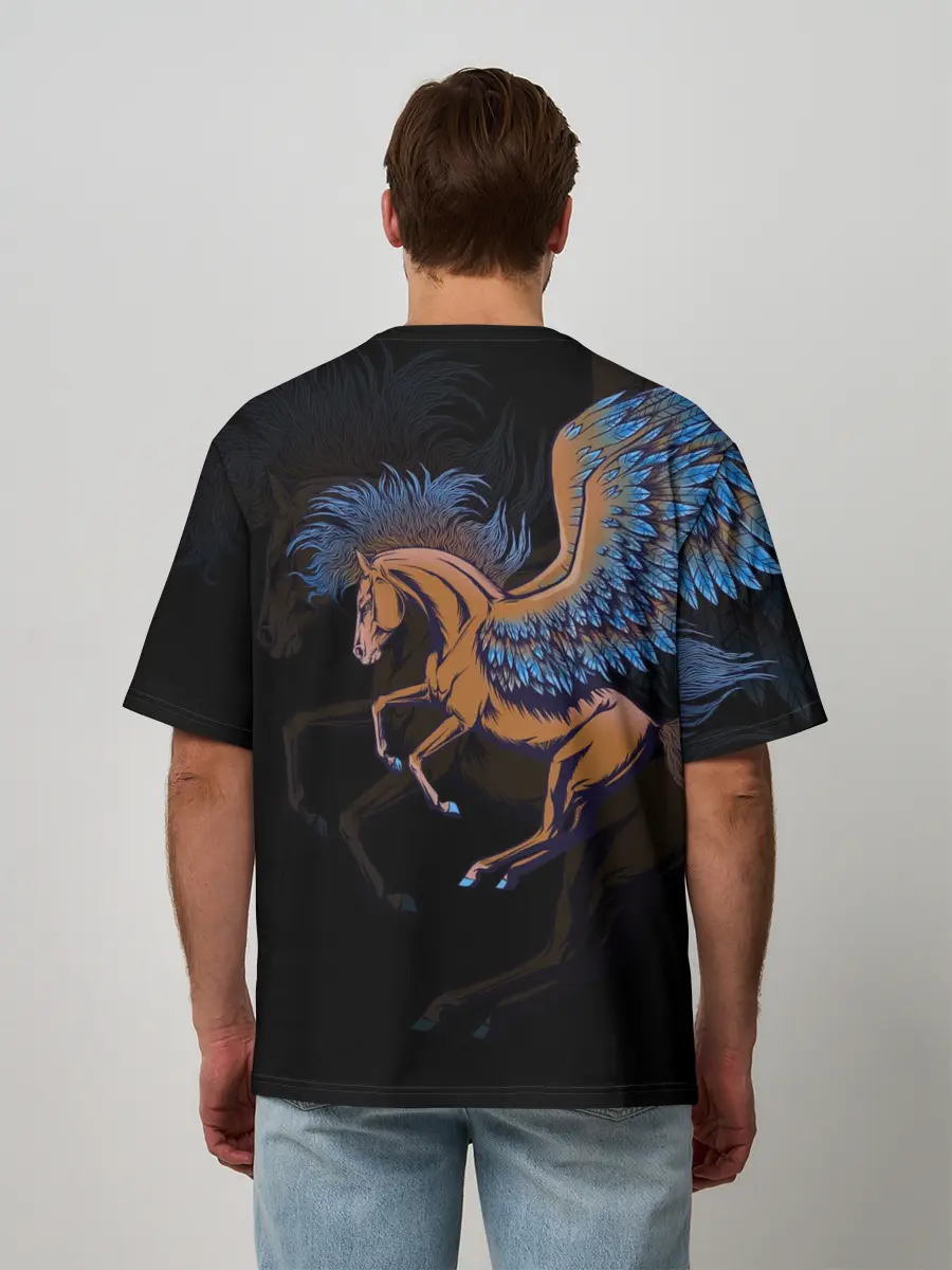 Мужская футболка оверсайз / Pegasus wings