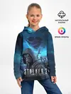 Детское худи / Сталкер 2 Сердце Чернобыля DE