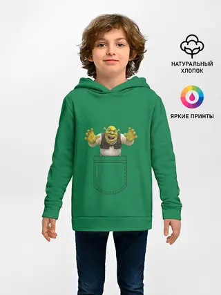 Детское худи / Шрек рычит из кармана