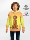 Детское худи / Золотистый ретривер