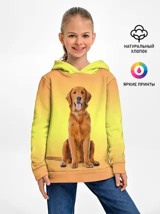 Детское худи / Золотистый ретривер