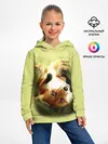 Детское худи / Лиса на траве